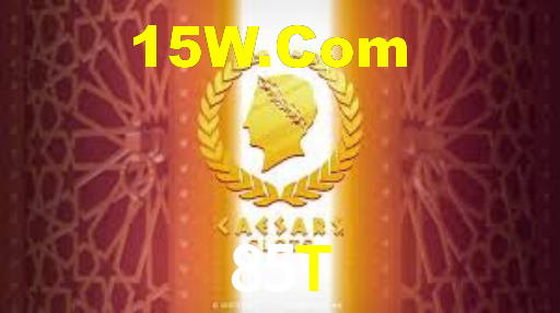 85T,85t.com