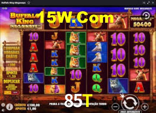 85t.com