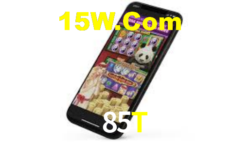 85T,85t.com