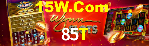 85t.com